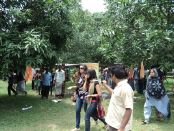 Mango Trip